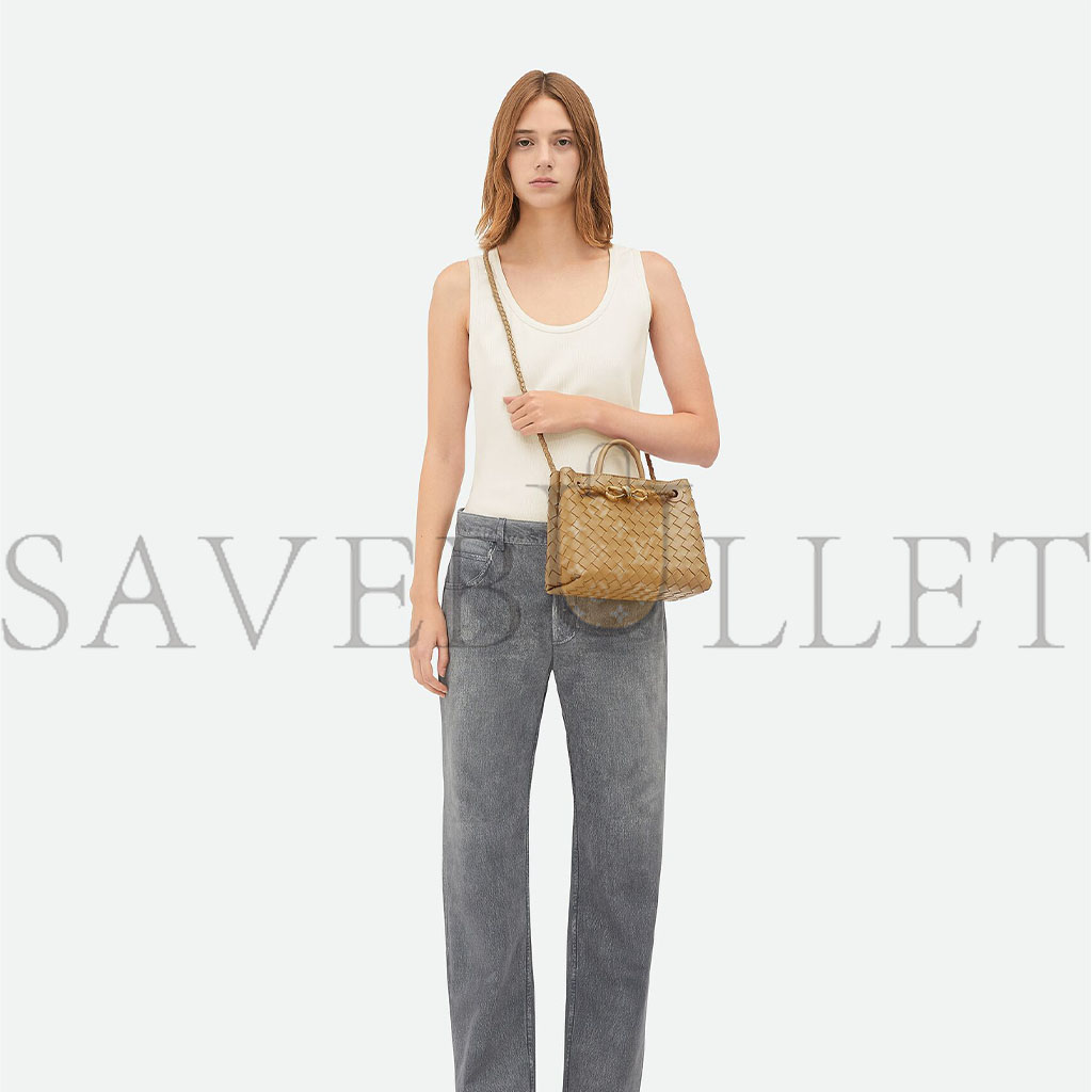 BOTTEGA VENETA SMALL ANDIAMO (25*20*10cm) 